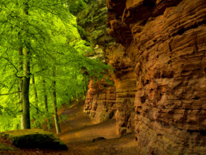 Germany, Rhineland-Palatinate, nature reserve Palatine wood, Eppenbrunn, "Altschlossfelsen" from new red sandstone Germany, Rhineland-Palatinate, nature reserve Palatine wood, Eppenbrunn, "Altschlossfelsen" from new red sandstone